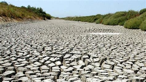 F­r­a­n­s­a­­d­a­ ­k­u­r­a­k­l­ı­k­ ­t­e­h­l­i­k­e­s­i­:­ ­4­2­ ­b­ö­l­g­e­n­i­n­ ­d­u­r­u­m­u­ ­k­r­i­t­i­k­